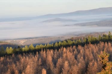 Future City Foodways in Rural Japan [Adventure.Travel]