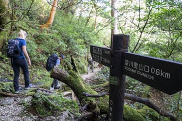 Whispers of Yakushima [Adventure.Travel]