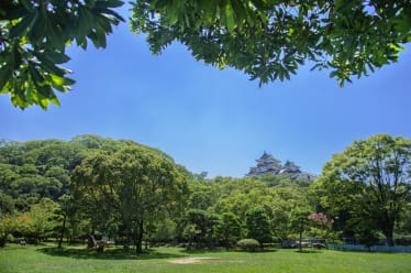 Wakayama City