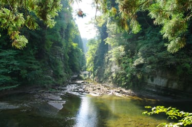 Yoro Valley