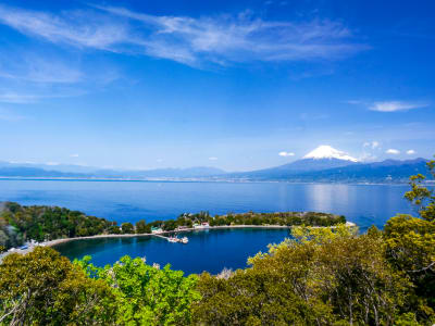 Official guide for traveling Japan- Travel Japan