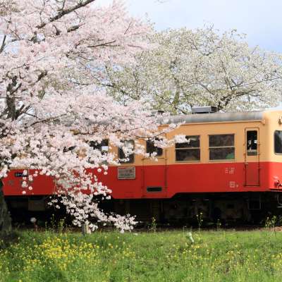 rail tour in japan