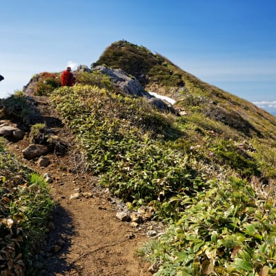 Mt. Tanigawa