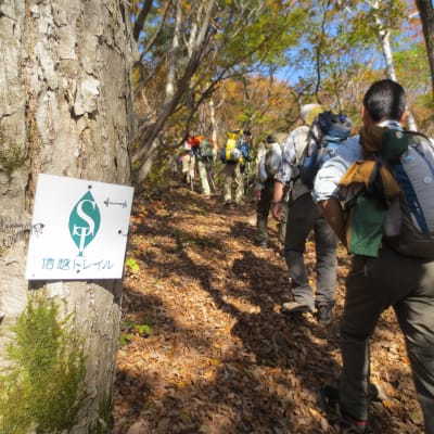 Shin-etsu trail