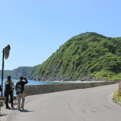 Michinoku Coastal Trail