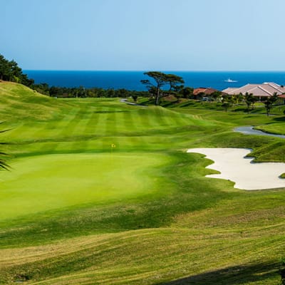 超歓迎された | Club Golf Ibusuki Kagoshima JNTO | Experience Golf Japan | ラウンド用品・アクセサリー