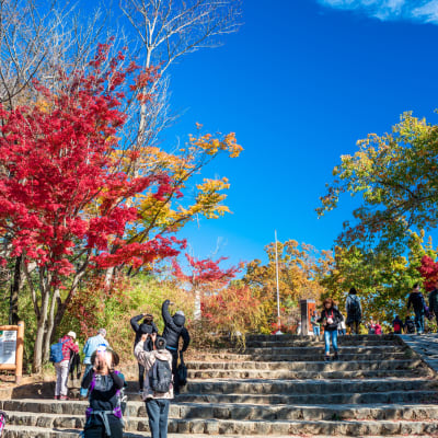 Mt. Takao