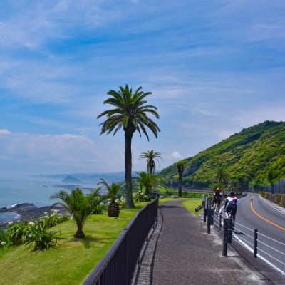 Nichinan Coast Cycling Line