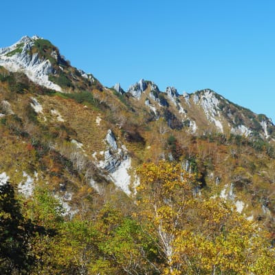 Mt. Tsubakuro