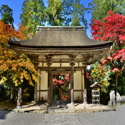 Saimyoji Temple