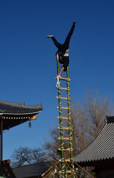 men doing hashigo nori stunts