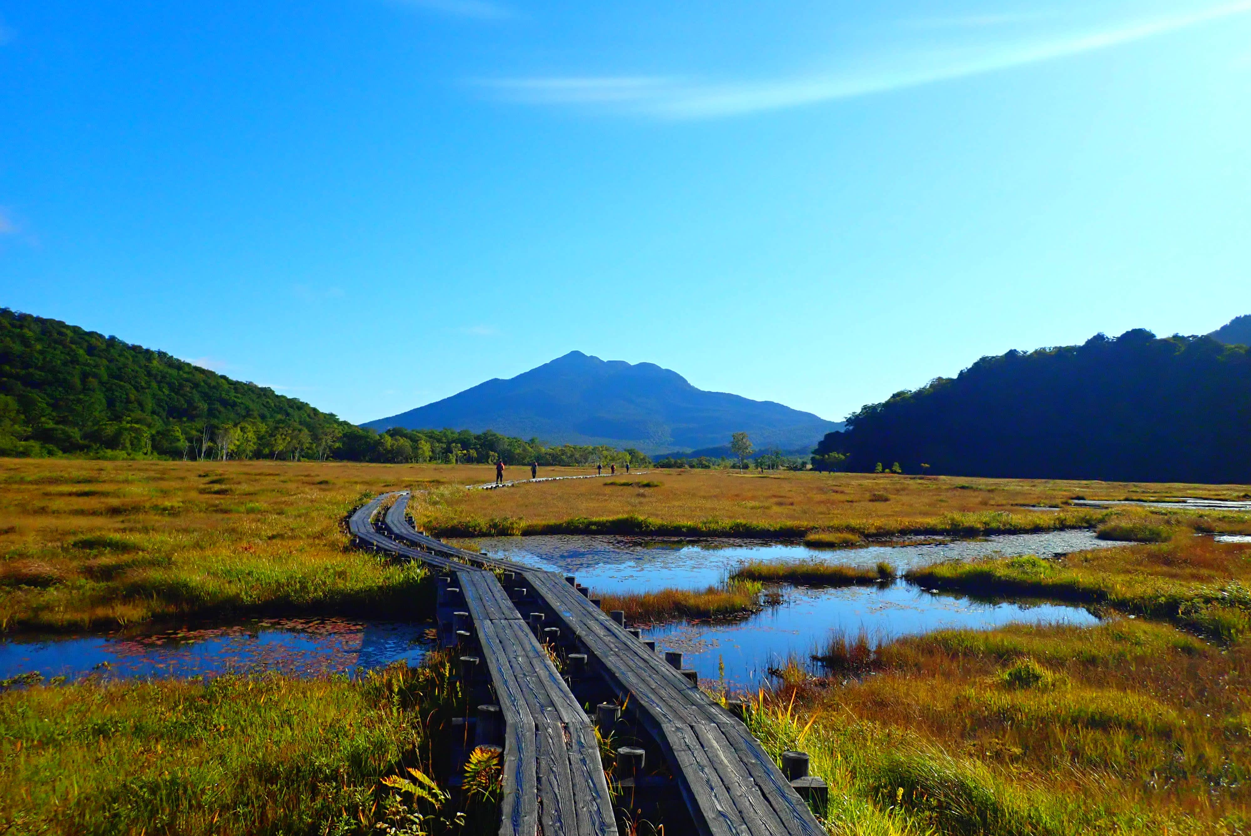 passerelle en bois dans le parc national d’Oze Japon