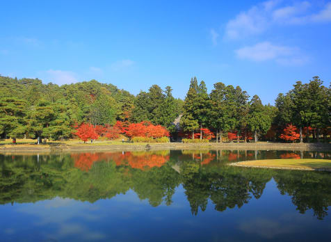 Hiraizumi Area