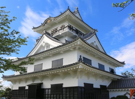 Tateyama Castle