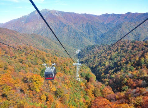 Tanigawa Ropeway