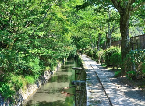 central kyoto