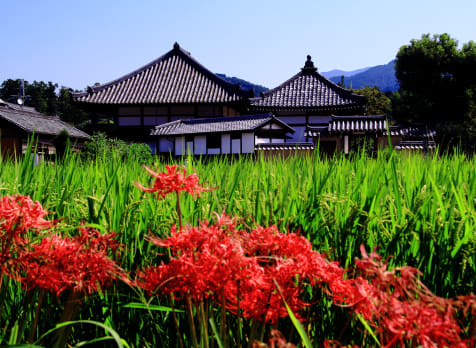 Asuka-dera Temple