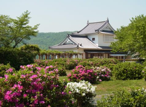 Tsuyama Castle -Kakuzan Park