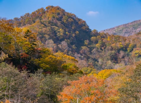 Shiretoko Kokuritsu-koen -National Park Rausu Visitors Center