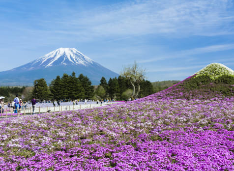 fuji five lakes