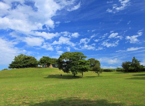 Chiba Port Park