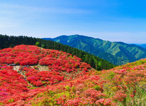 mt. katsuragi