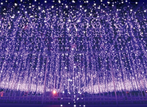 Ashikaga Flower Park