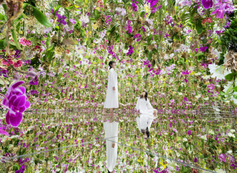 teamLab Planets TOKYO