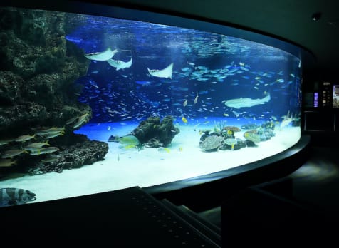 Sunshine Aquarium