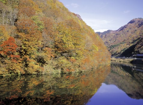 Yamagata Autumn