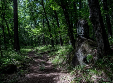 Shingen Bomichi Trail