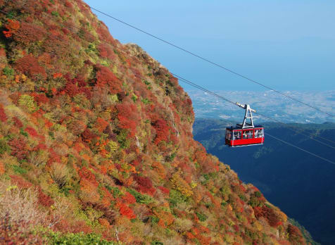 Nita Pass Autumn Leaves