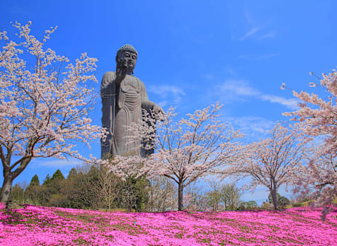 Ushiku Daibutsu