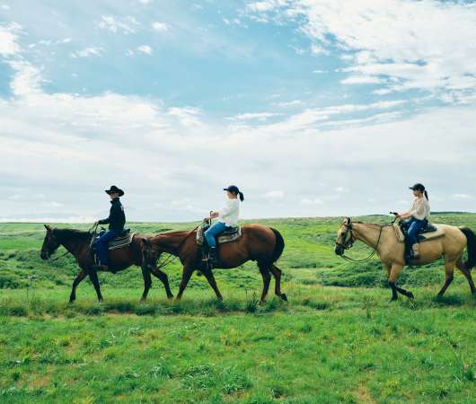 A family trip to great nature in Kumamoto