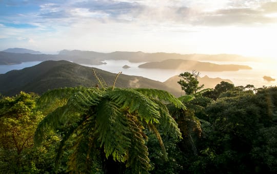 Amami Oshima and Tokunoshima islands