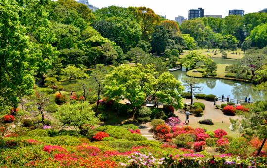 Rikugien Garden