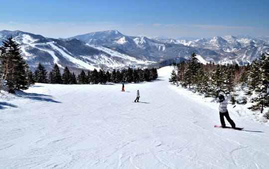 shiga-kogen highlands area