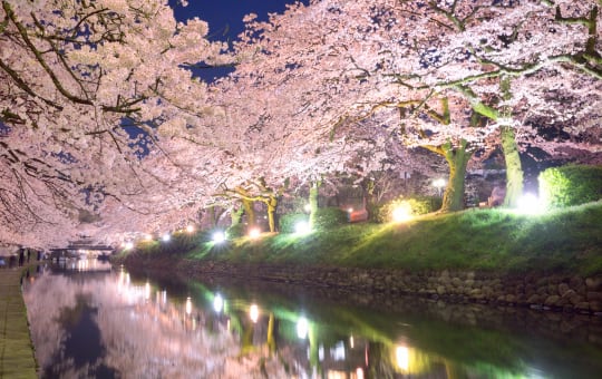 Cherry blossom of Matsukawa Beri riverside-SPR