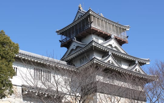 Iwasaki Castle