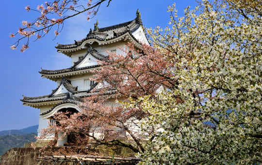 uwajima castle