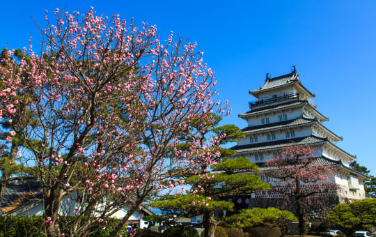 shimabara castle