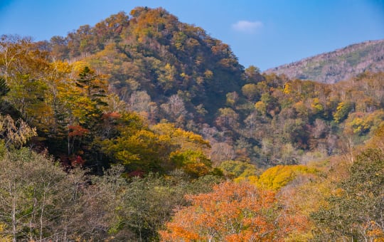 Shiretoko Kokuritsu-koen -National Park Rausu Visitors Center