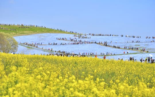 oarai & hitachinaka