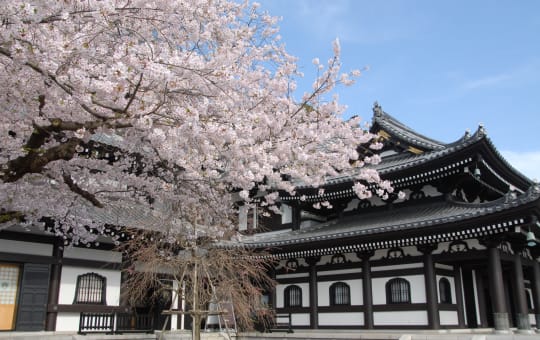 hase-dera temple