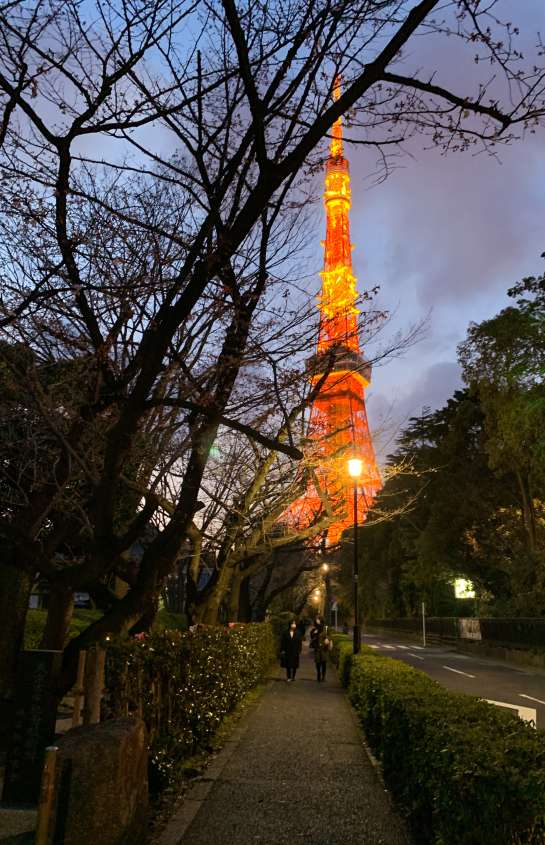 running tour of tokyo