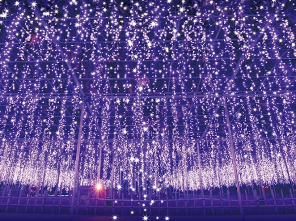 Wisteria flowers at Ashikaga Flower Park