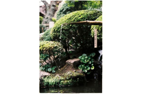 Vũ Thị Mỹ Duyên