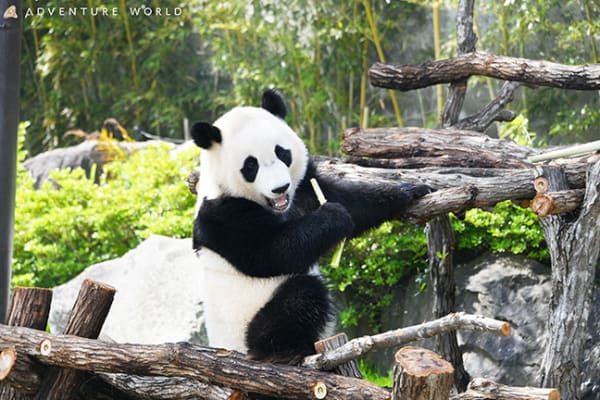 Wakayama Adventure World