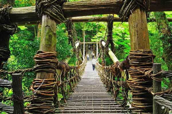 Iya Kazurabashi Bridge, Tokushima