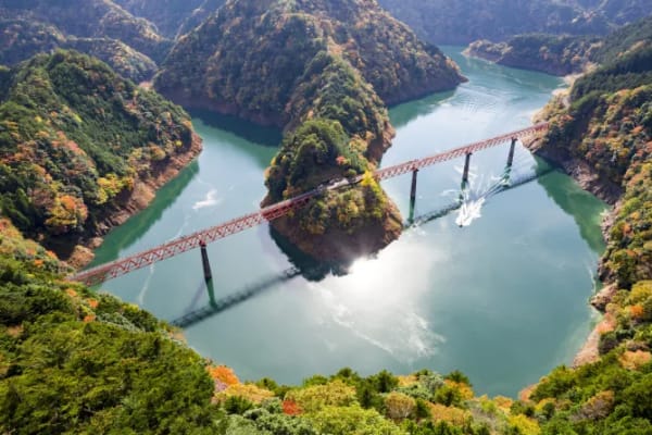 مقاطعة شيزوكا